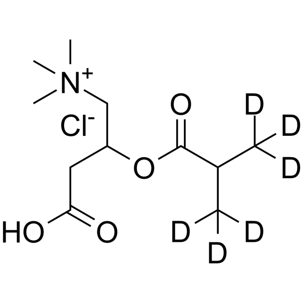 Isobutyryl L-Carnitine-d6 chloride Chemical Structure Isobutyryl L-Carnitine-d6 chloride