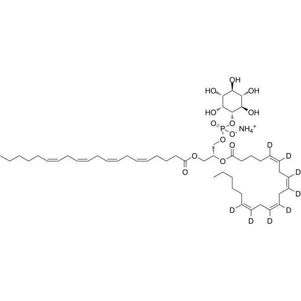 PtdIns-(1-arachidonoyl, 2-arachidonoyl)-d8 ammonium Chemical Structure PtdIns-(1-arachidonoyl, 2-arachidonoyl)-d8 ammonium