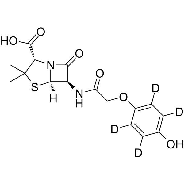 p-Hydroxypenicillin V-d4