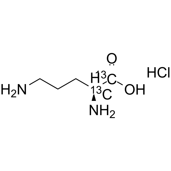 L-Ornithine-1,2-13C2 hydrochloride Chemical Structure L-Ornithine-1,2-13C2 hydrochloride