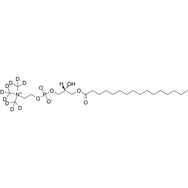 1-Palmitoyl-sn-glycero-3-phosphocholine-d9-1