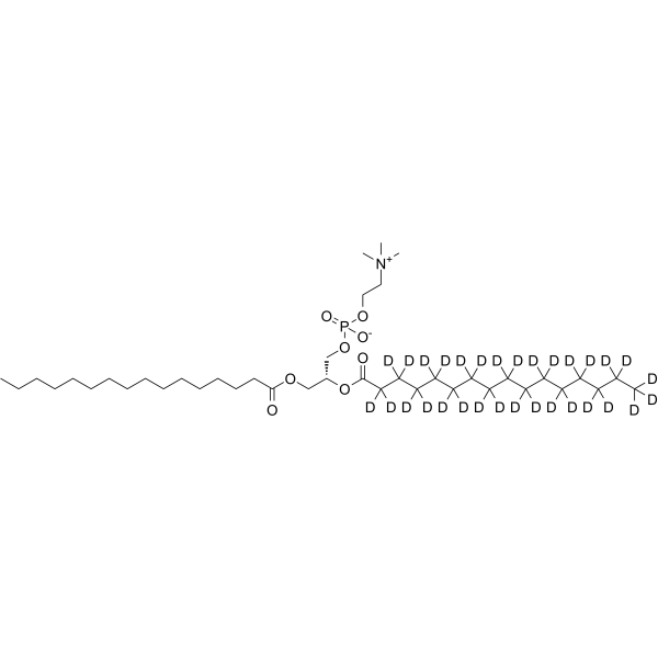 16:0-16:0 PC-d31