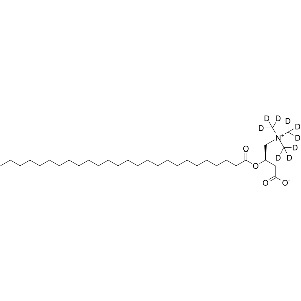C26 D,L-Carnitine-d9 Chemical Structure C26 D,L-Carnitine-d9