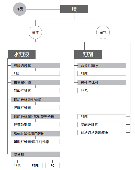GE Whatman 沃特曼滤膜 聚碳酸酯膜径迹蚀刻膜微孔滤膜