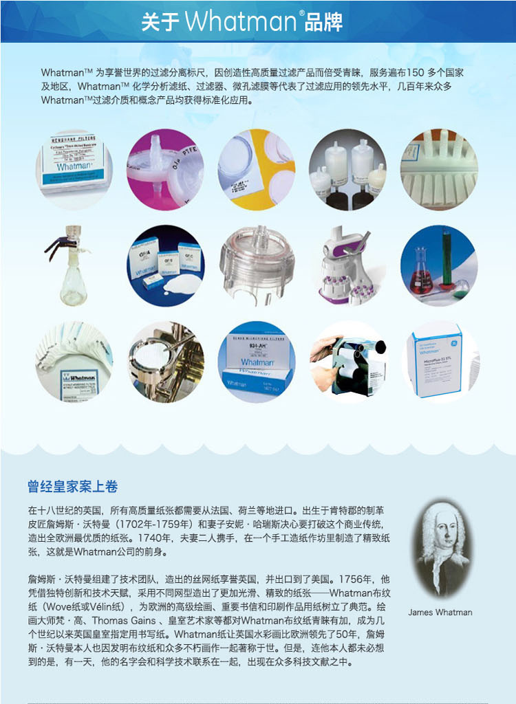 110615-GE Whatman 沃特曼25mm直径10微米孔径 Nuclepore径迹蚀刻膜