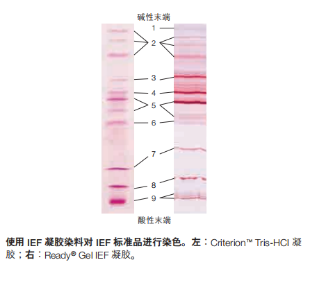 161-0310-Bio-Rad伯乐IEF Standards标准品1610310