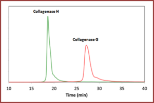 TDzyme(重组胶原酶)组织解离酶试剂盒-胶原酶TDzyme® TL Pack TDzyme Tissue Dissociation Kits-TDzyme® TL Pack 货号:TDL0010 品牌:Equl
