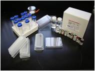 Ames Test Kit Muta-染色体板检测试剂盒 / AMES试剂盒 Muta-ChromoPlat Basic Kit 货号:5051 品牌:EBPI