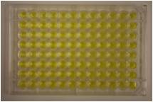 reverse mutation ames test kit Muta-染色体板检测试剂盒 / AMES试剂盒 Muta-ChromoPlat Basic Kit 货号:5051 品牌:EBPI