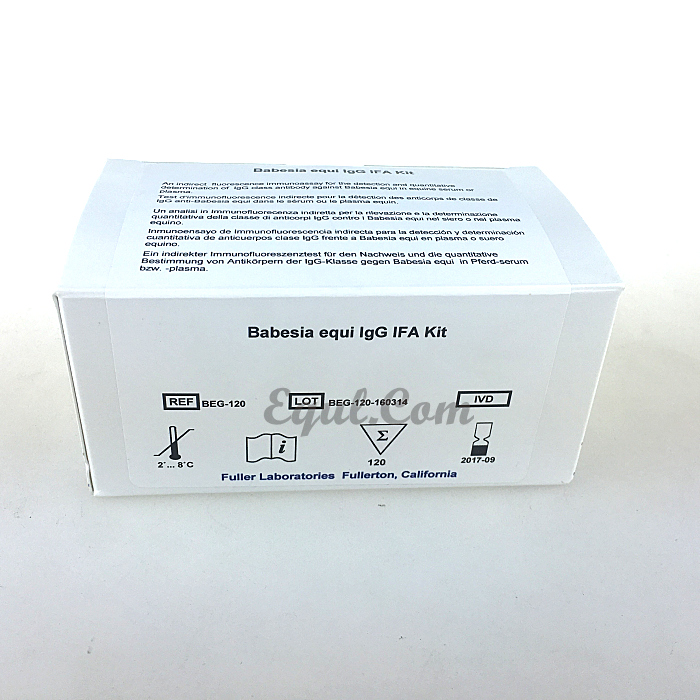 马泰勒虫免疫荧光试剂盒 Theileria equi IFA Kit  货号：BEG-120 品牌：Jinpan