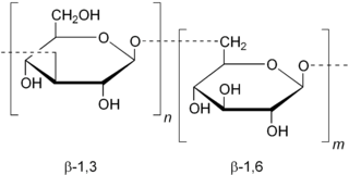 海洋红栖热菌的海带多糖酶/地衣多糖酶 Laminarinase/Lichenase from Rhodothermus marinus Laminarinase/Lichenase from Rhodothermus marinus 货号：P-BGLU110 品牌：Prokazyme