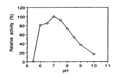 海洋红栖热菌的海带多糖酶/地衣多糖酶 Laminarinase/Lichenase from Rhodothermus marinus Laminarinase/Lichenase from Rhodothermus marinus 货号：P-BGLU110 品牌：Prokazyme