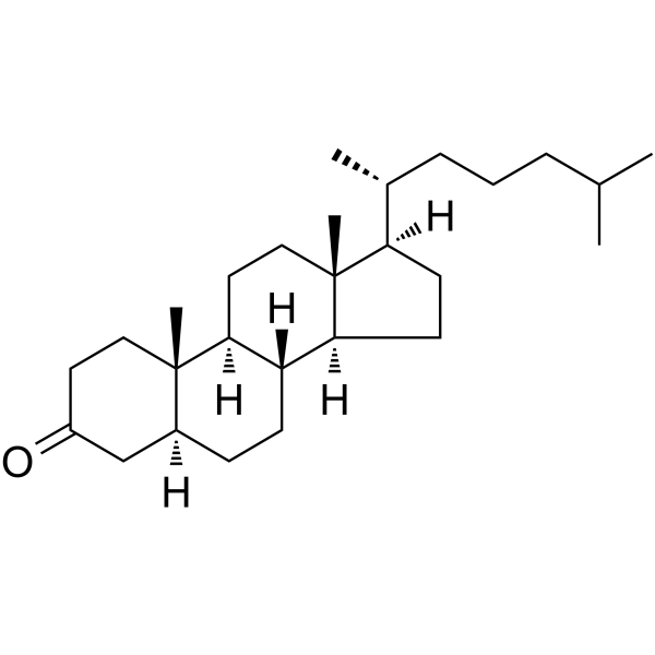 5α-Cholestan-3-one Chemical Structure 5α-Cholestan-3-one (Synonyms: 5α-Cholestanone)