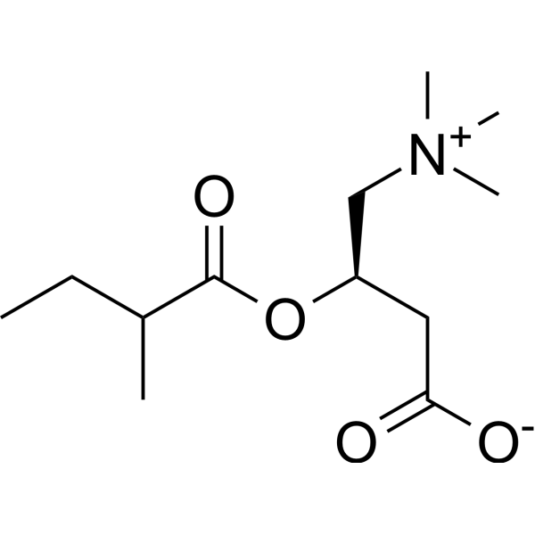 2-Methylbutyrylcarnitine Chemical Structure 2-Methylbutyrylcarnitine