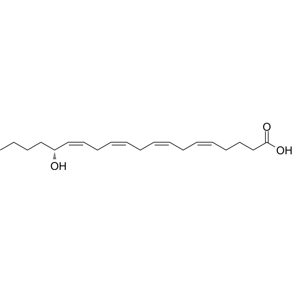 16(R)-HETE Chemical Structure 16(R)-HETE