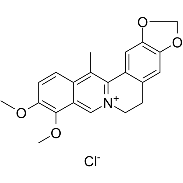 13-Methylberberine chloride Chemical Structure 13-Methylberberine chloride (Synonyms: 13-Methylberberinium chloride)