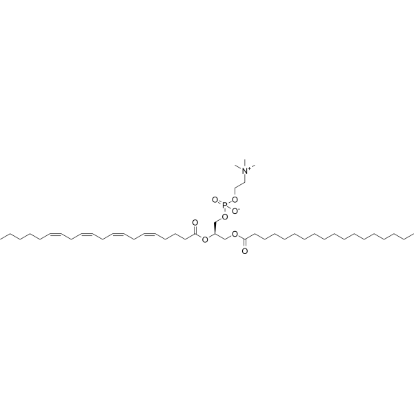 1-Stearoyl-2-arachidonoyl-sn-glycero-3-phosphocholine Chemical Structure 1-Stearoyl-2-arachidonoyl-sn-glycero-3-phosphocholine