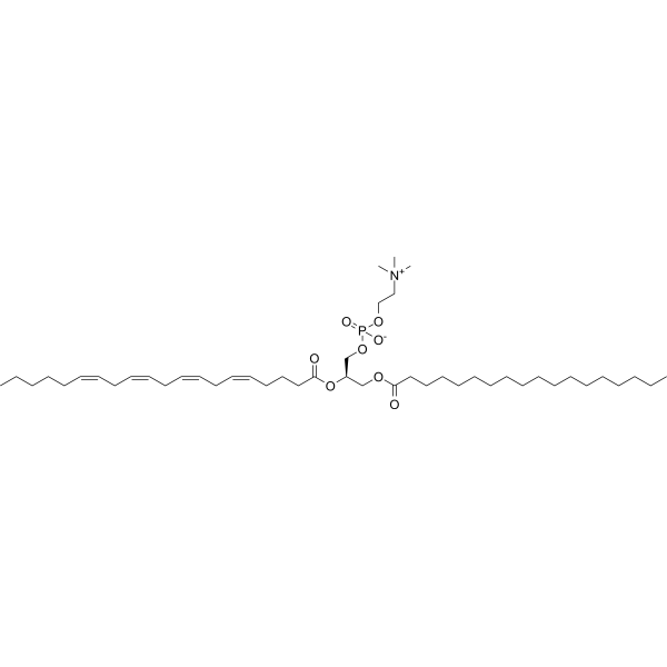 1-Stearoyl-2-arachidonoyl-sn-glycero-3-phosphocholine