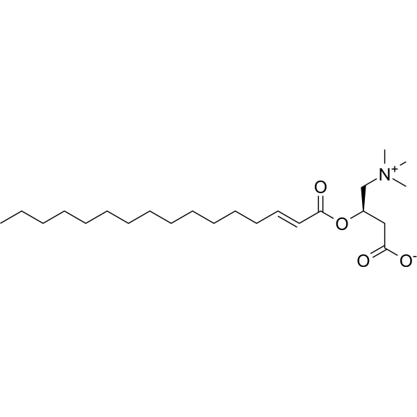 trans-2-Hexadecenoyl-L-carnitine Chemical Structure trans-2-Hexadecenoyl-L-carnitine (Synonyms: 反-2-十六碳烯酰肉碱)