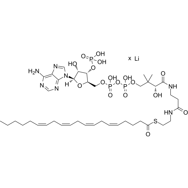 Arachidonoyl coenzyme A lithium Chemical Structure Arachidonoyl coenzyme A lithium