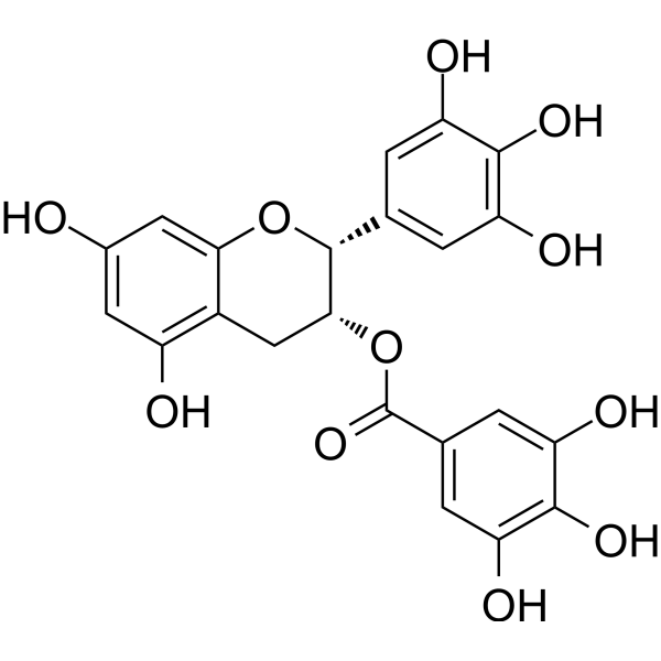 (-)-Epigallocatechin Gallate (Standard) Chemical Structure (-)-Epigallocatechin Gallate (Standard) (Synonyms: EGCG(Standard); Epigallocatechol Gallate (Standard))