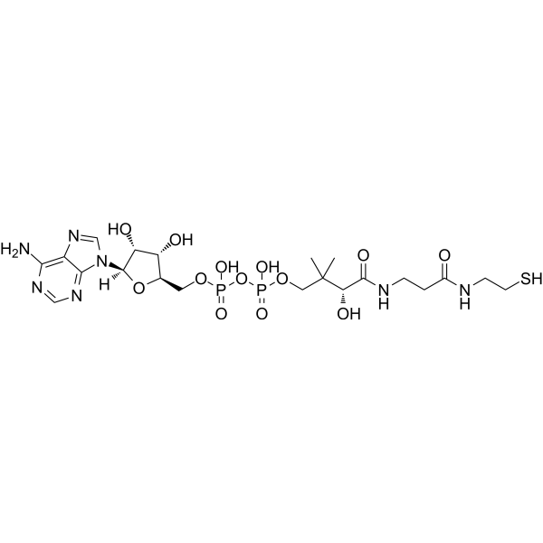 Dephospho-CoA Chemical Structure Dephospho-CoA