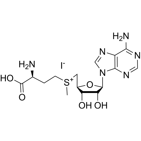 S-Adenosyl-L-methionine iodide Chemical Structure S-Adenosyl-L-methionine iodide (Synonyms: S-Adenosyl methionine iodide; Ademetionine iodide; AdoMet iodide)