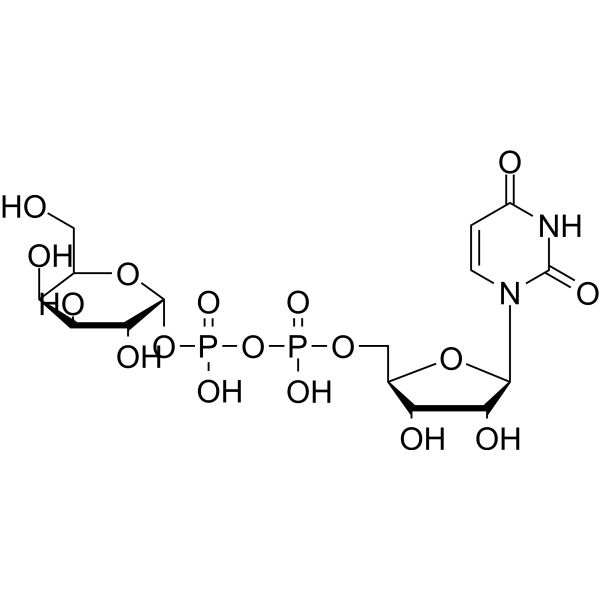 UDP-Galactose