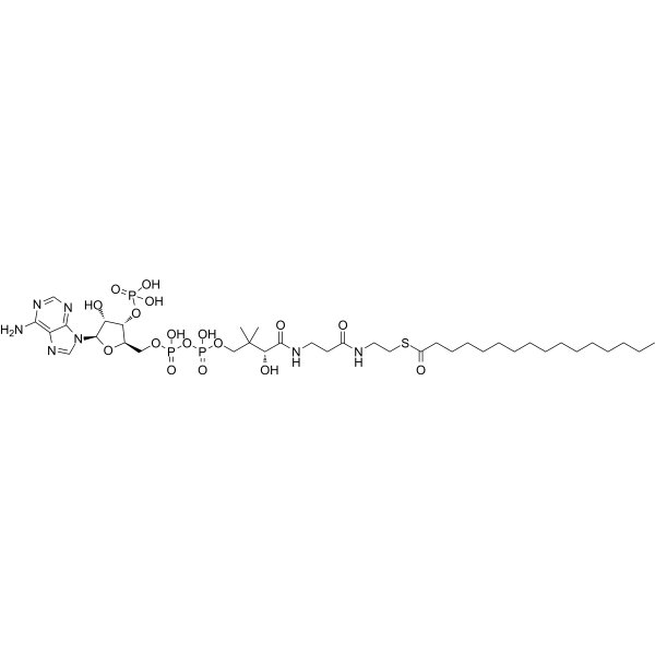 Palmitoyl coenzyme A Chemical Structure Palmitoyl coenzyme A (Synonyms: Palmitoyl CoA)
