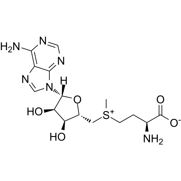 S-Adenosyl-L-methionine Chemical Structure S-Adenosyl-L-methionine (Synonyms: S-腺苷-L-蛋氨酸; S-Adenosyl methionine; Ademetionine; AdoMet)