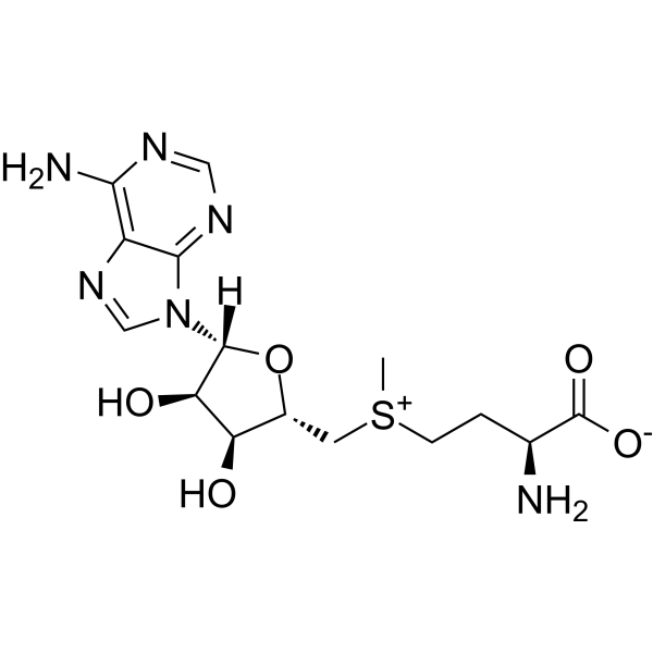 S-Adenosyl-L-methionine                                          (Synonyms: S-腺苷-L-蛋氨酸; S-Adenosyl methionine;  Ademetionine;  AdoMet)