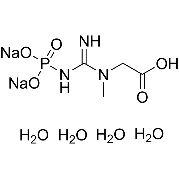 Sodium creatine phosphate dibasic tetrahydrate Chemical Structure Sodium creatine phosphate dibasic tetrahydrate (Synonyms: 磷酸胍酸钠水合物; Creatine phosphate disodium tetrahydrate; Creatinephosphoric acid disodium tetrahydrate)