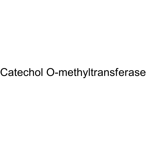 Catechol O-methyltransferase, porcine liver Chemical Structure Catechol O-methyltransferase, porcine liver (Synonyms: COMT)