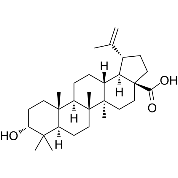 Epibetulinic acid Chemical Structure Epibetulinic acid (Synonyms: 表白桦脂酸)