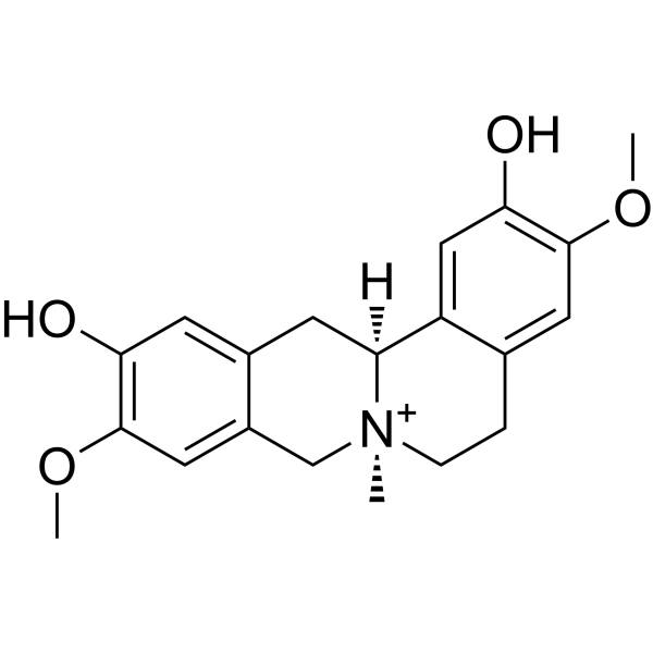 Phellodendrine Chemical Structure Phellodendrine (Synonyms: 黄柏碱)