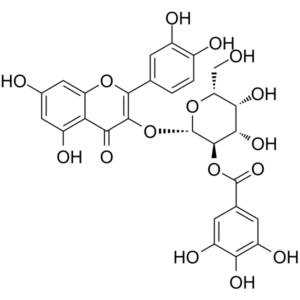 2 2"-O-Galloylhyperin (Synonyms: 2”-O-没食子酰基金丝桃苷)