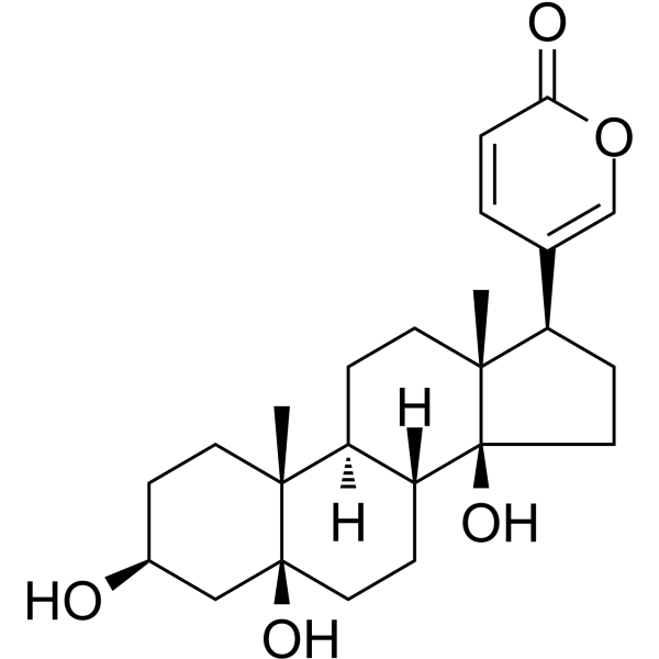 Telocinobufagin Chemical Structure Telocinobufagin (Synonyms: Telobufotoxin; Telocinobufogenin)