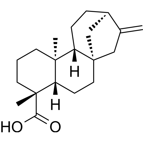 Kaurenoic acid Chemical Structure Kaurenoic acid (Synonyms: 异贝壳杉烯酸;贝壳杉烯酸)