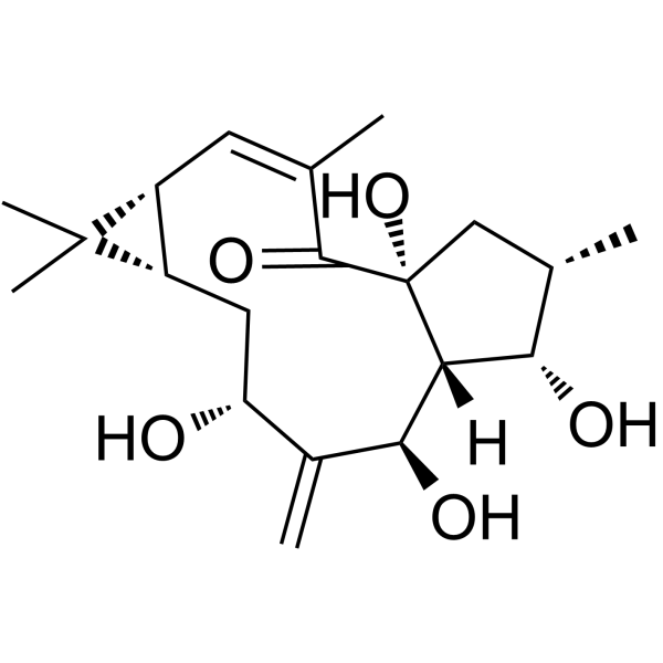 7beta-Hydroxylathyrol Chemical Structure 7beta-Hydroxylathyrol (Synonyms: 7-羟基千金子二萜醇)