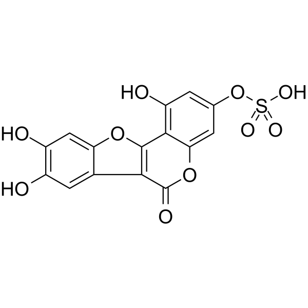 Demethylwedelolactone Sulfate Chemical Structure Demethylwedelolactone Sulfate (Synonyms: Demethylwedelolactone 3-sulfate)