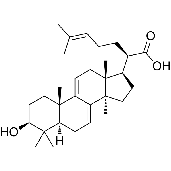 3-Dehydrotrametenolic acid Chemical Structure 3-Dehydrotrametenolic acid (Synonyms: 3-氢化去氢松苓酸)