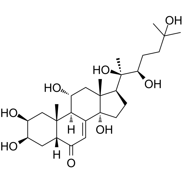 Turkesterone Chemical Structure Turkesterone (Synonyms: 土克甾酮)