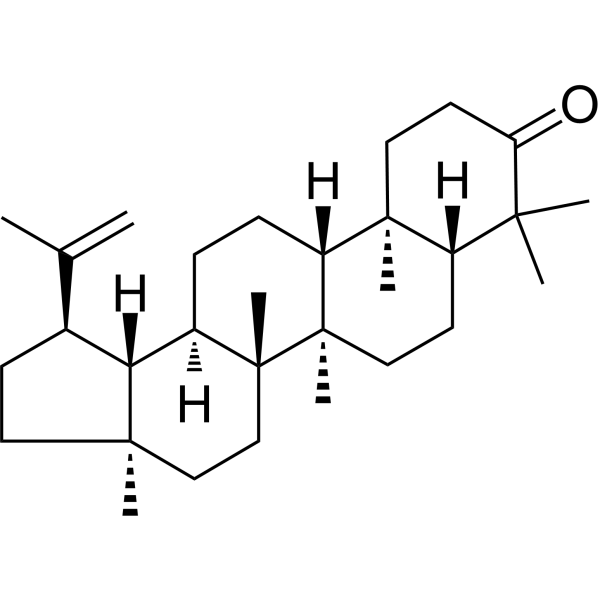 Lupenone Chemical Structure Lupenone