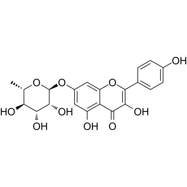Kaempferol-7-O-rhamnoside Chemical Structure Kaempferol-7-O-rhamnoside