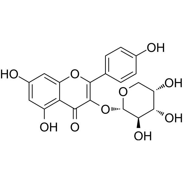 Kaempferol 3-O-arabinoside Chemical Structure Kaempferol 3-O-arabinoside (Synonyms: 山奈酚-3-O-α-L-吡喃阿拉伯糖苷)