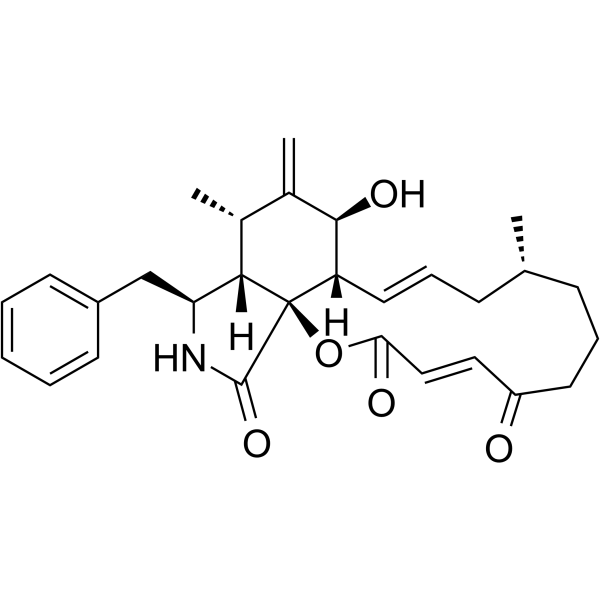 Cytochalasin A Chemical Structure Cytochalasin A (Synonyms: 细胞松弛素A)