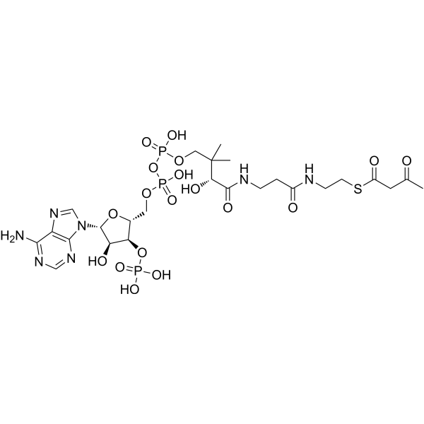 Acetoacetyl-CoA Chemical Structure Acetoacetyl-CoA