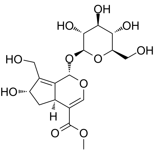 10-Hydroxy majoroside Chemical Structure 10-Hydroxy majoroside (Synonyms: 10-羟基大车前草苷)