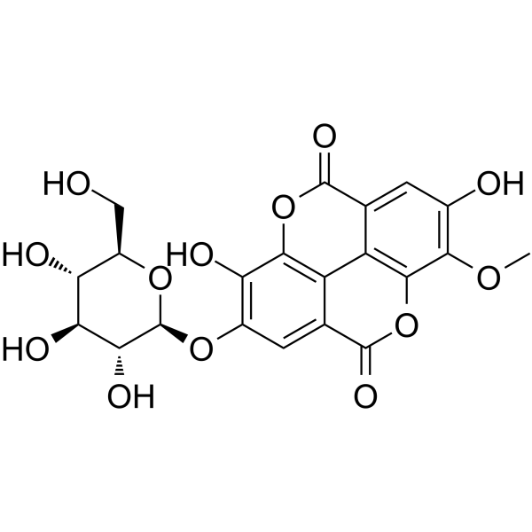 Stachyanthuside A Chemical Structure Stachyanthuside A