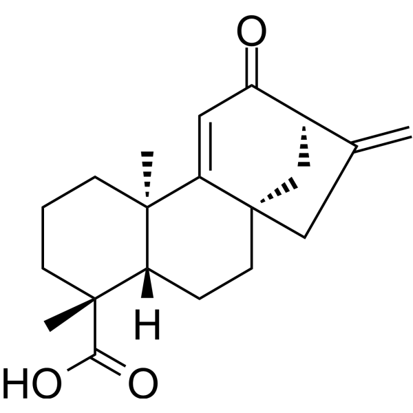12-Oxograndiflorenic acid Chemical Structure 12-Oxograndiflorenic acid